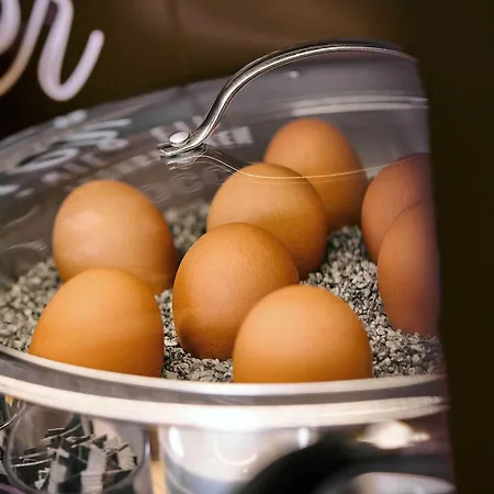 호텔 Mainz-sued 마인츠